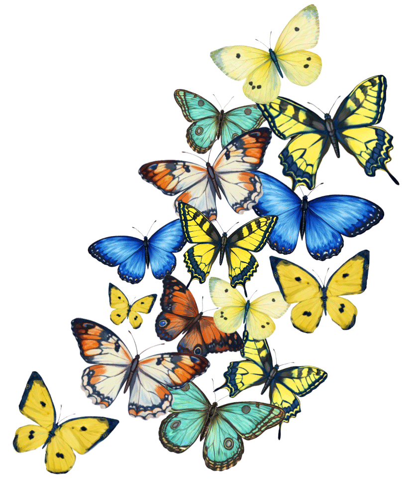Butterflies flying