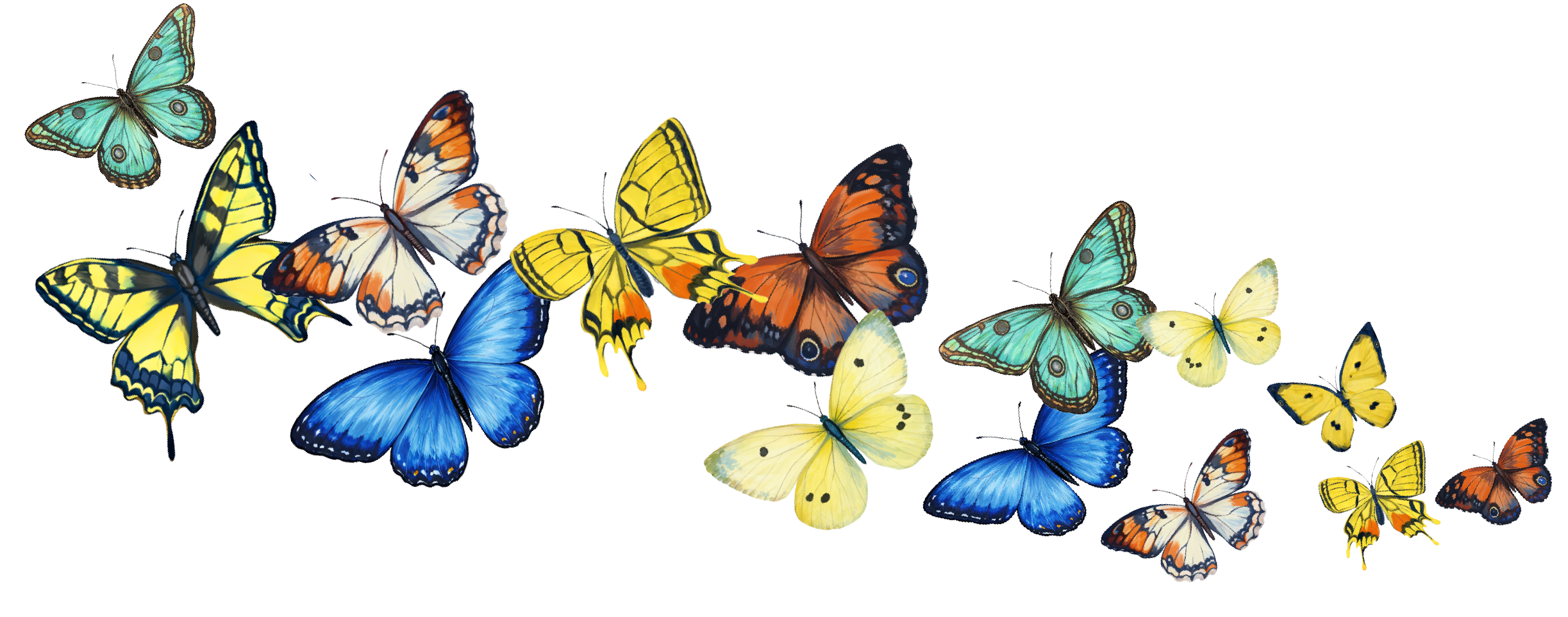 Group of butterflies